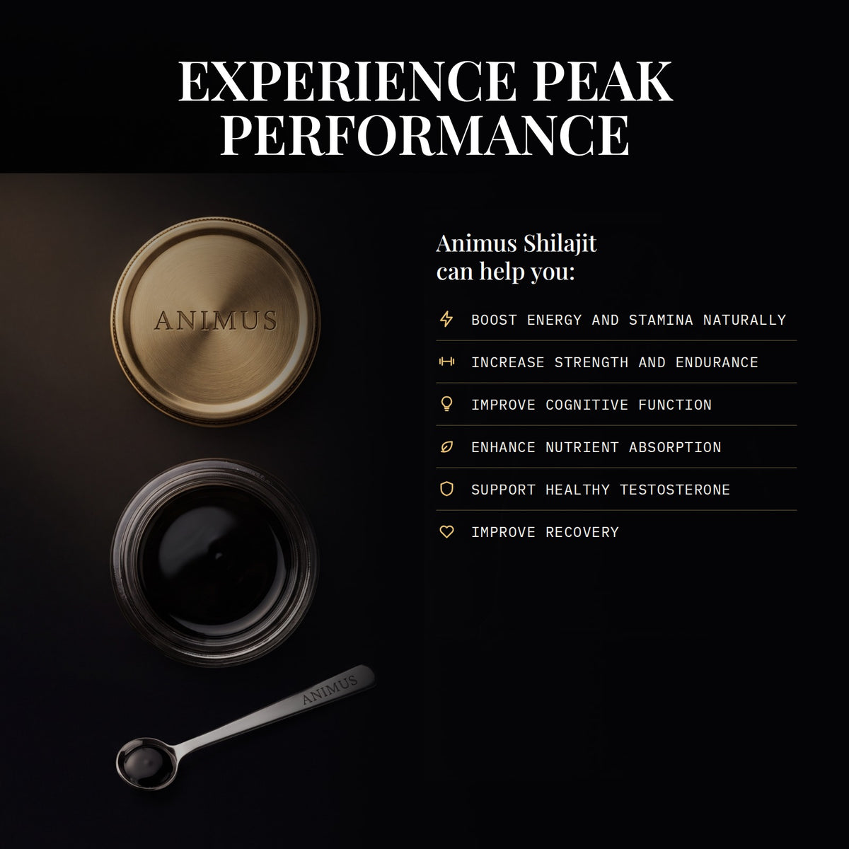 Experience peak performance - Animus Shilajit benefits